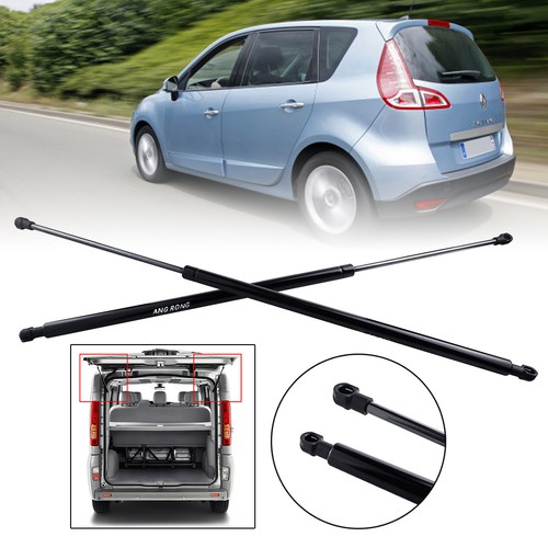 Rear tailgate boot gas - rear, struts