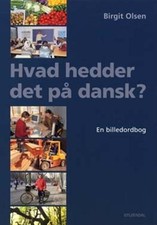 Hvad hedder det p dansk? (in