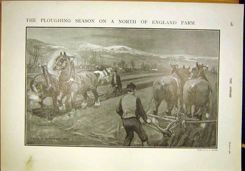 Original old antique print - original,