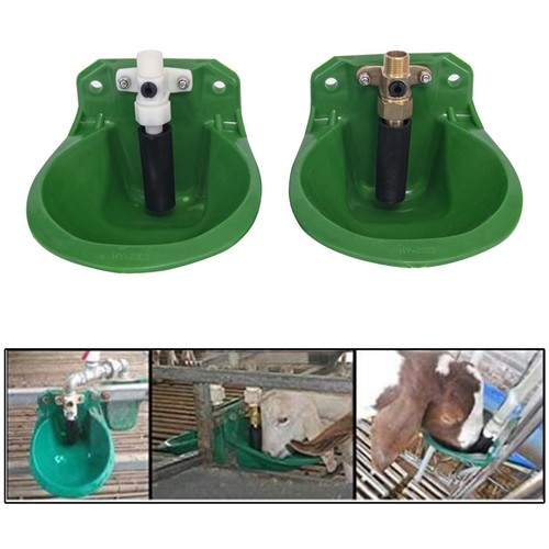 Automatic sheep water bowl - sheep,