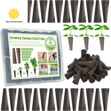 144Pcs Seed Pod Kit for