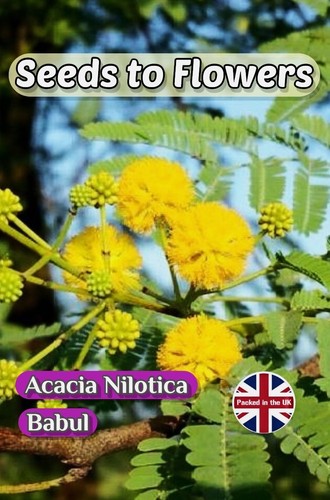 Acacia nilotica babul - nilotica,