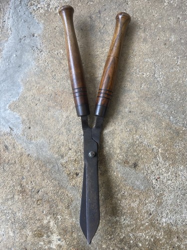 Vintage garden hedge - shears, 22