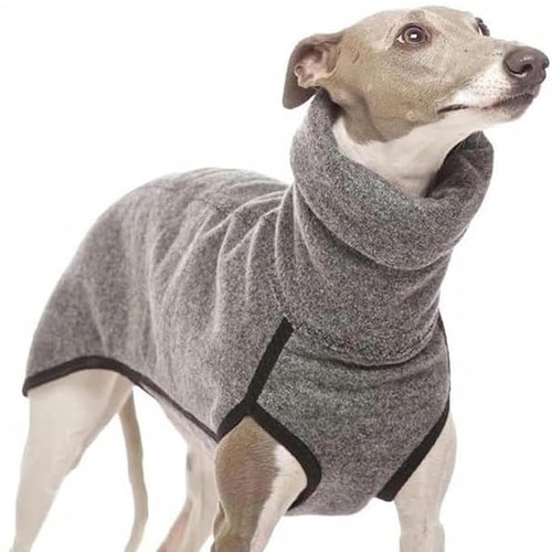 Whippet jumper coat - coat, warm