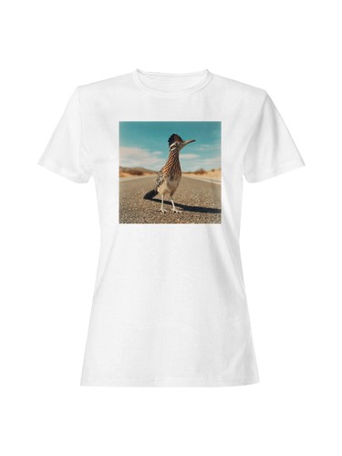 Majestic roadrunner desert - roadrunner,