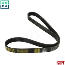 VRIBBED BELT 917 765 FOR