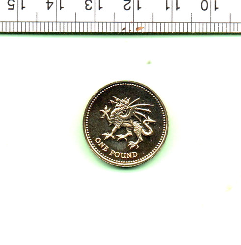 2000 welsh dragon bright - 2000,