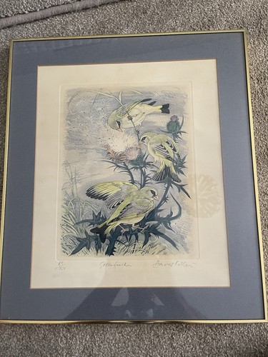 David koster ltd edition - koster,