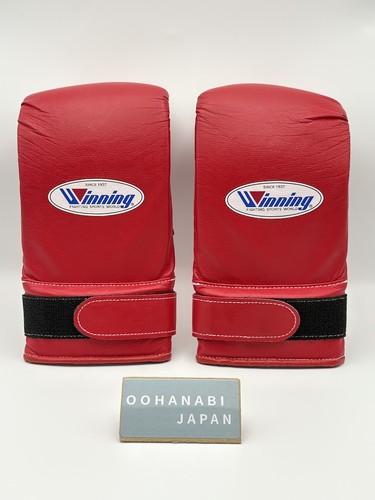 Winning bag punching - punching, gloves