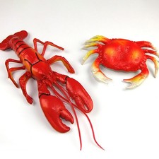 Simulation Lobster Model
