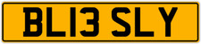 LESLY ❤ LESLEYS LES LESLEY LESLIE LEZ PRIVATE REGISTRATION NUMBER PLATE BL13 SLY