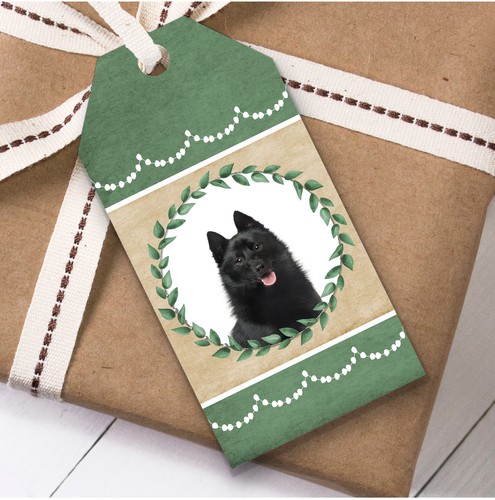 Schipperke dog green birthday - green,