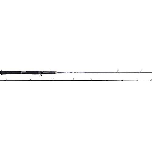 Tenryu spinning rod bayblaze - tenryu,