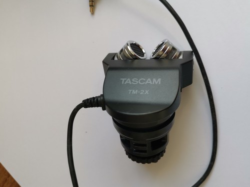 Tascam stereo condenser - tascam, tm-2x