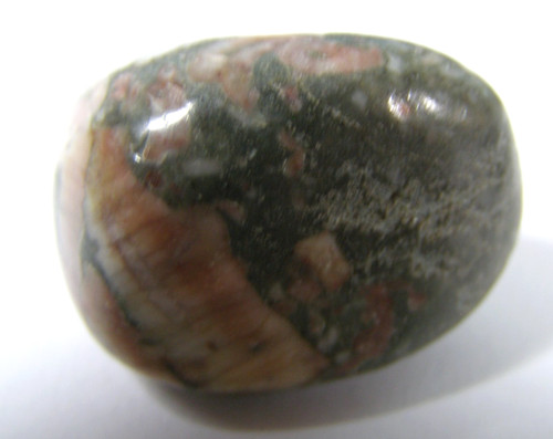 Crinoid fossil tumblestone - tumblestone,