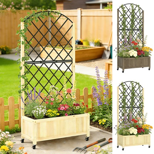 Garden bed with metal - bed, trellis