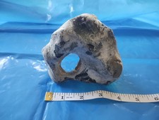 Large hag stone with big - large,