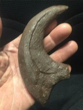 Deinonychus Jurassic world