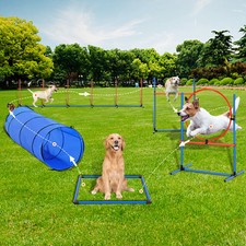 Dog Agility Training Kit
