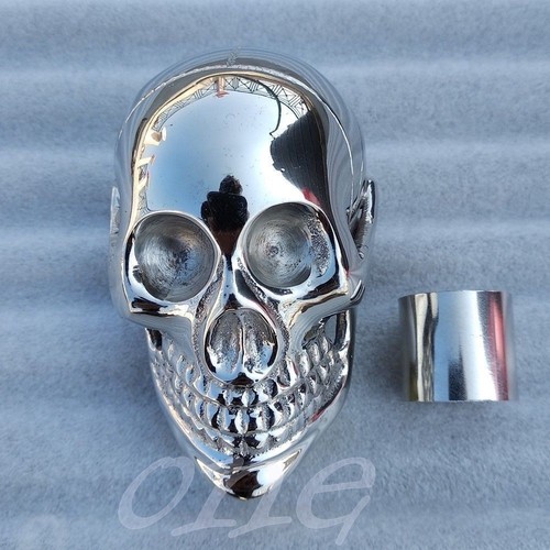 Walking stick skull - skull, head