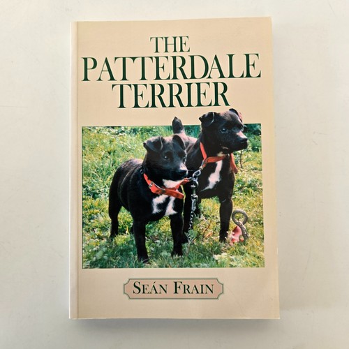 The patterdale terrier sean - patterdale, terrier-sean