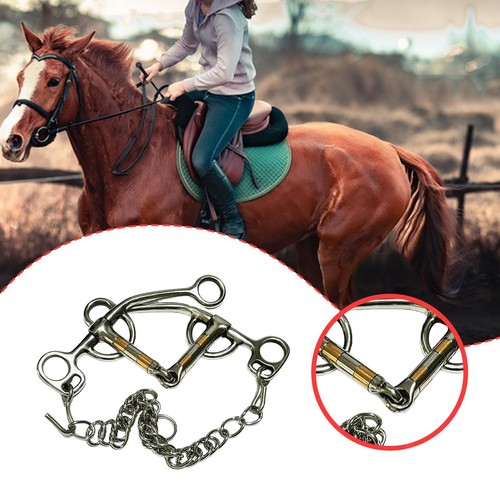 Horse bits riding - horse, bits,