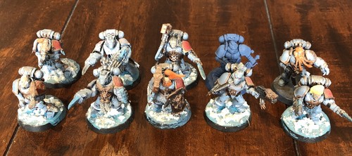 Space wolves wolf guard - space,