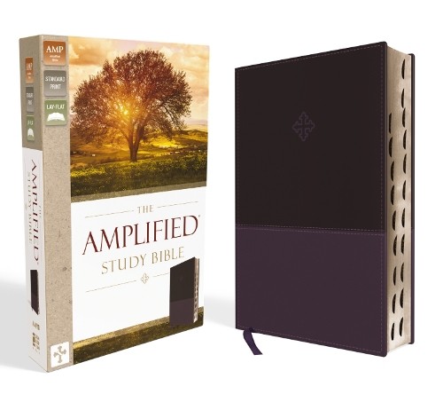 The amplified study - study, bible