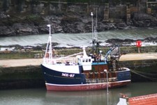 Photo 6x4 Tied up at Gourdon