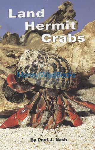 Land hermit crabs - by, paul