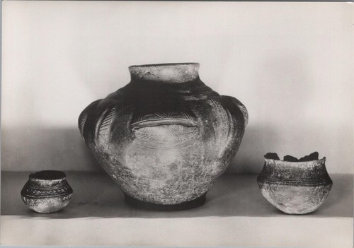 Luton museum postcard saxon - museum,