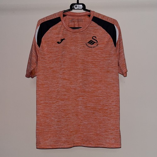 Swansea city 2018 - 2018/19, joma
