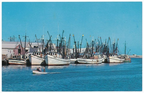 Shrimp boats brownsville - shrimp,
