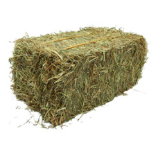 Mini Hay Bale - Timothy Hay