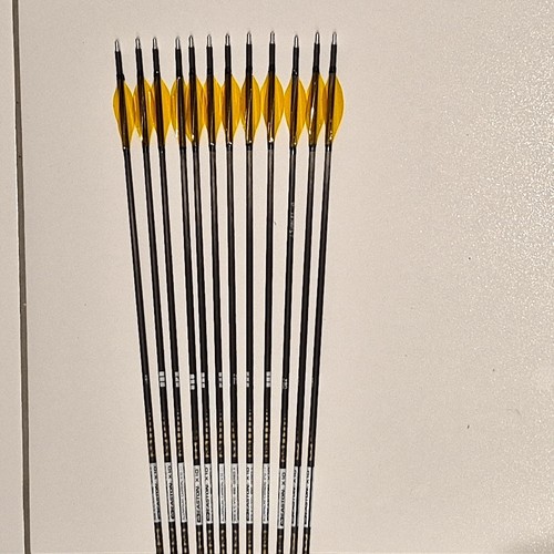 Easton x10 450 - x10,