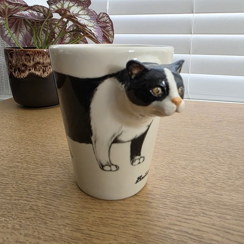 British shorthair cat mug - british,
