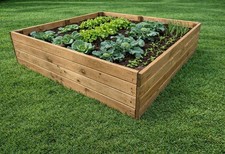 Raised wooden vegetable garden - vegetable,