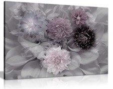 Lilac Dahlia Flower Blossoms