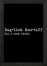 Mastiff A Sock Thief Framed