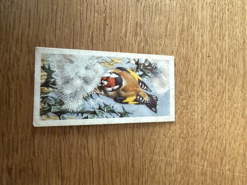 1957 brooke bond tea bird - 1957, “bird