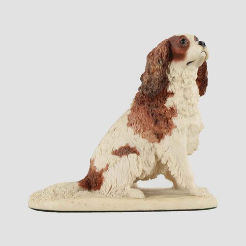 Cavalier king charles - king,