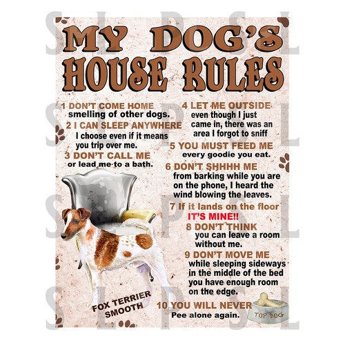 Fox terrier smooth dog - fox,