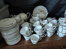 Seltmann Weiden Liane Large 102 Mixed Set With Teapots Cups Saucers Jugs Plates