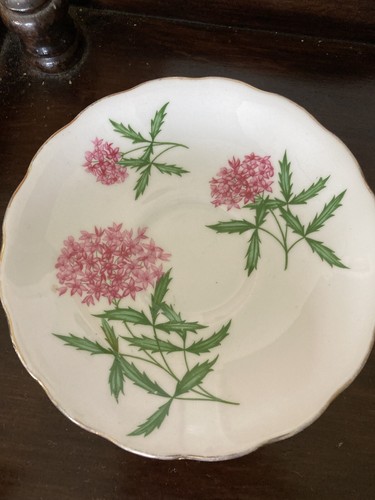 Crown regent bone china saucer - crown,