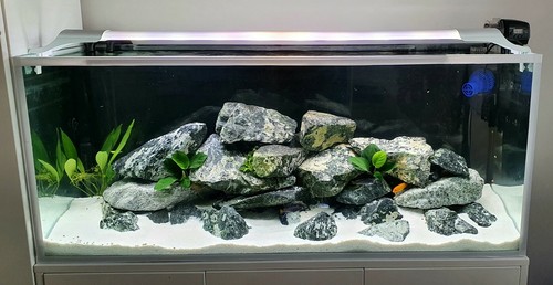 Aquarium rock natural fish - aquarium,