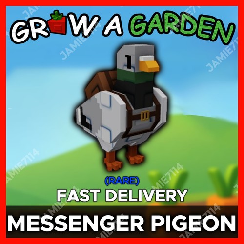 Messenger pigeon cheapest - pigeon, |