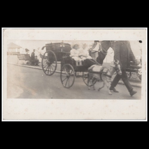 Edwardian donkey cart - edwardian,