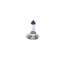 1 987 301 013 BOSCH BULB