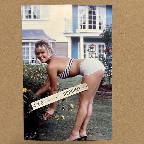 Mary millington 4 x - millington, ￼￼….4