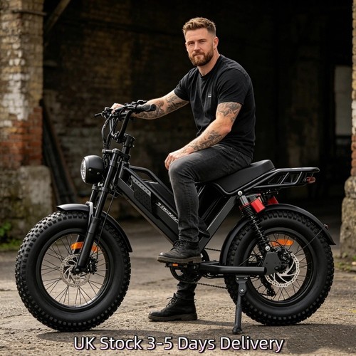 Neu fat tire electric - 20"fat,